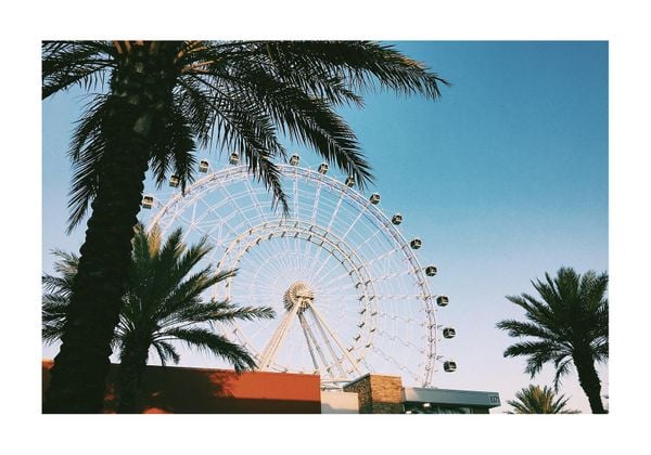 Cali Cali 2