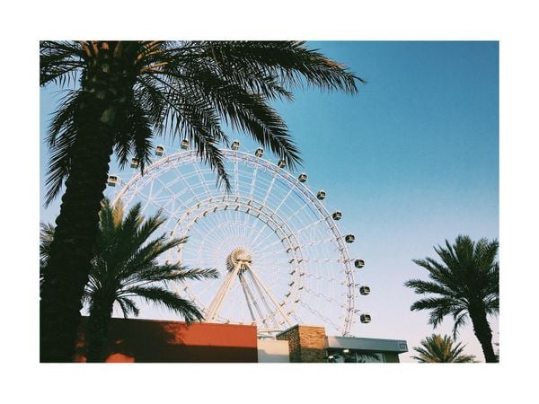 Cali Cali 2