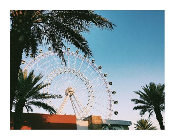 Cali Cali 2