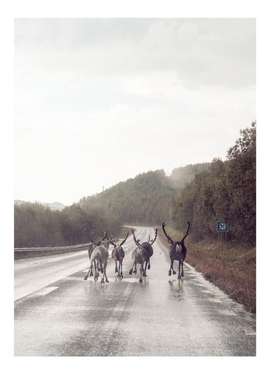 Caravan