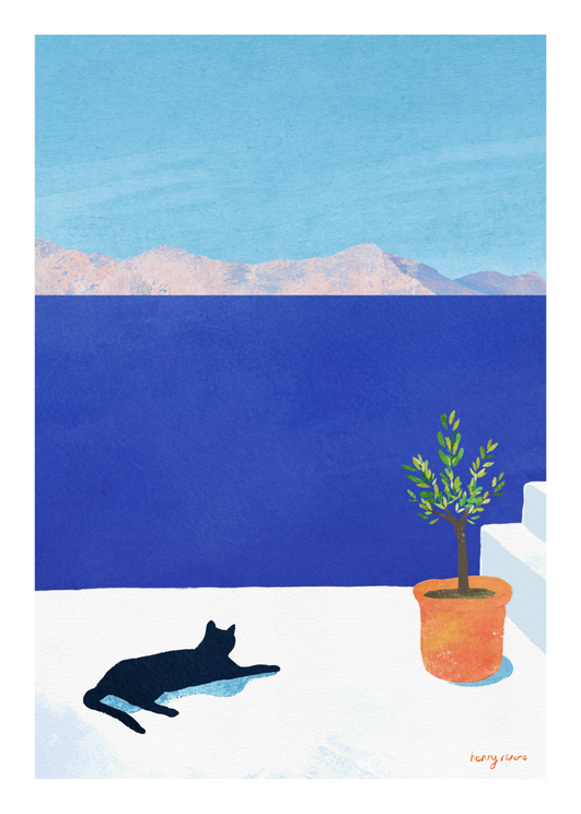 Cat Siesta