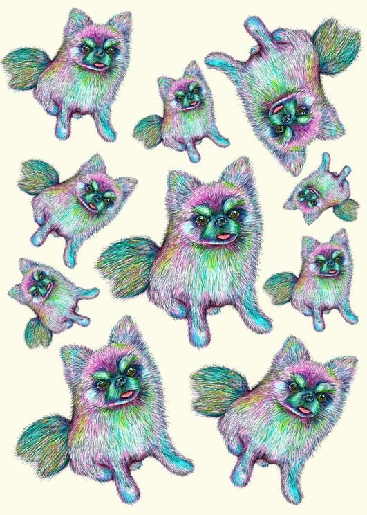 Chihuahuas