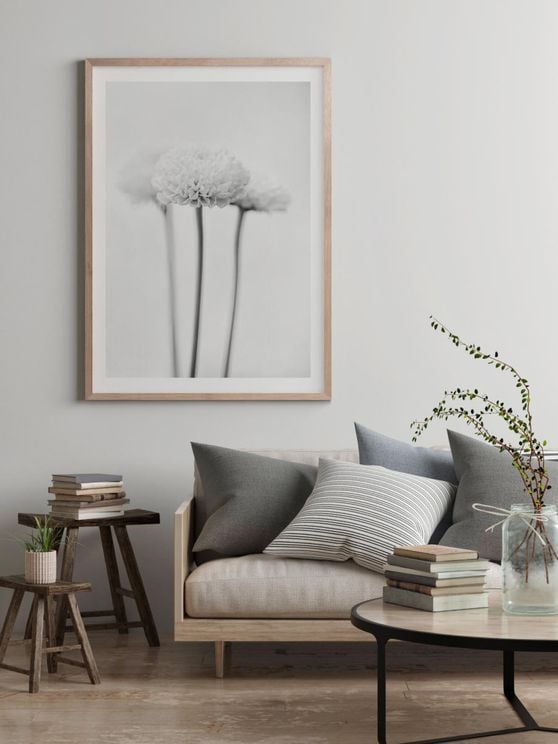 Chrysanthemum Black And White