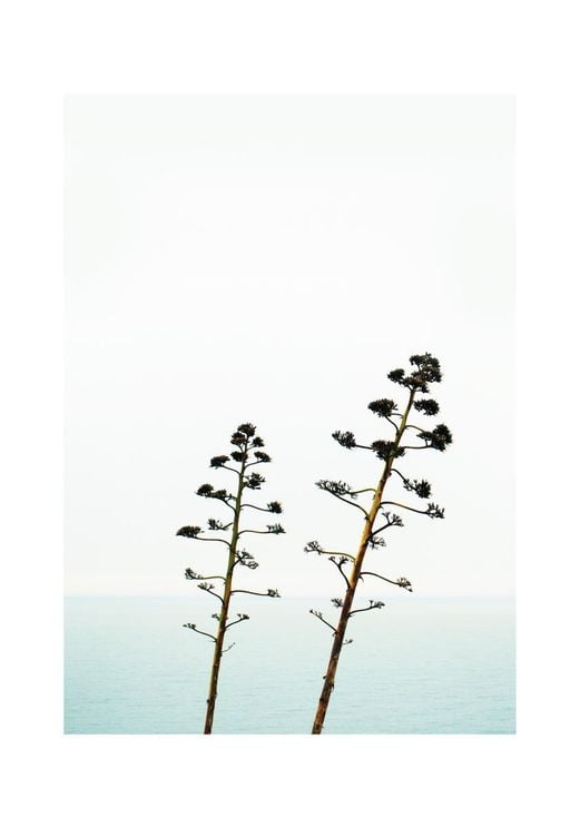 Coastal