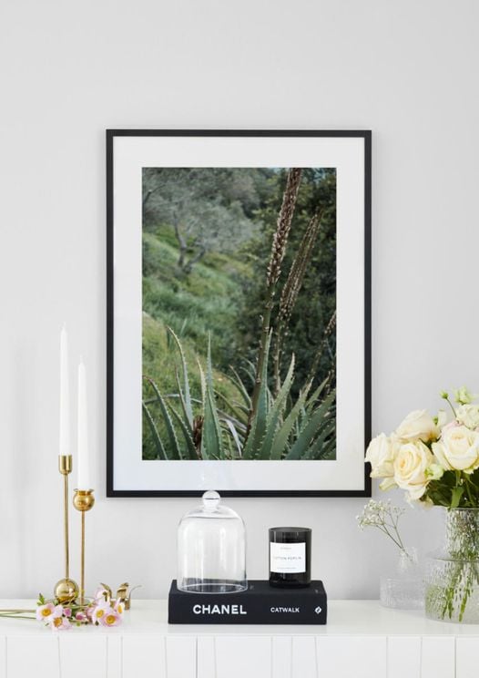Coastal Garden
