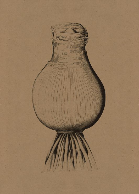 Contrast Onion 2