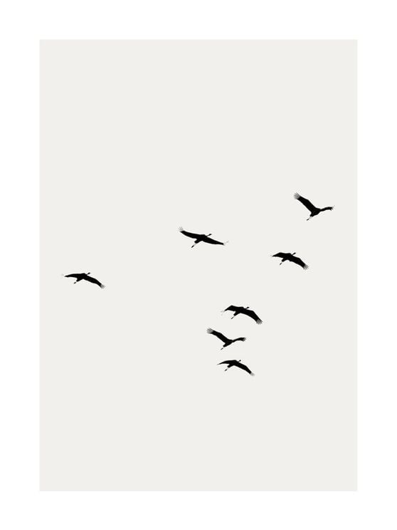 Cranes