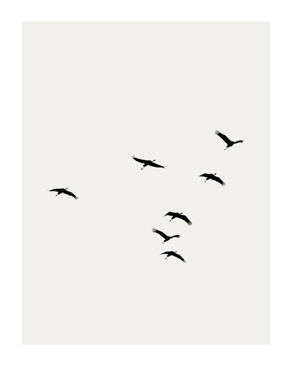 Cranes