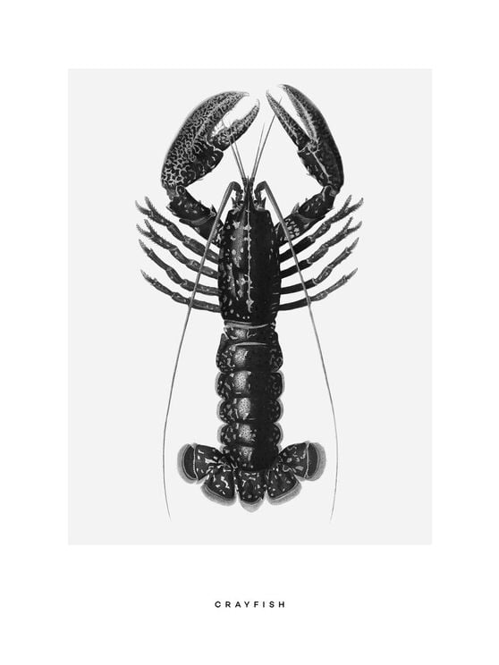 Crayfish