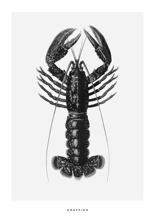 Crayfish