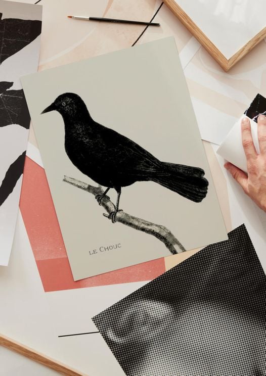 Crow Illustration