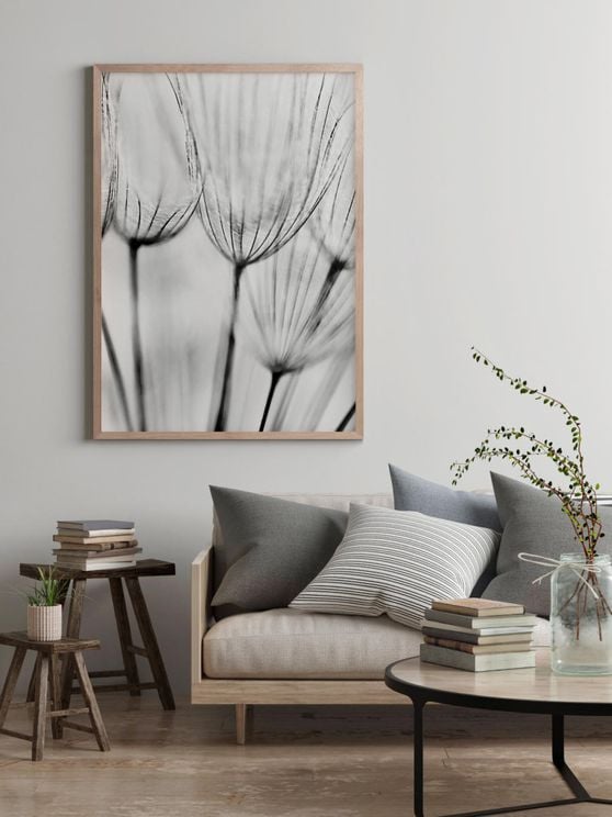Dandelions