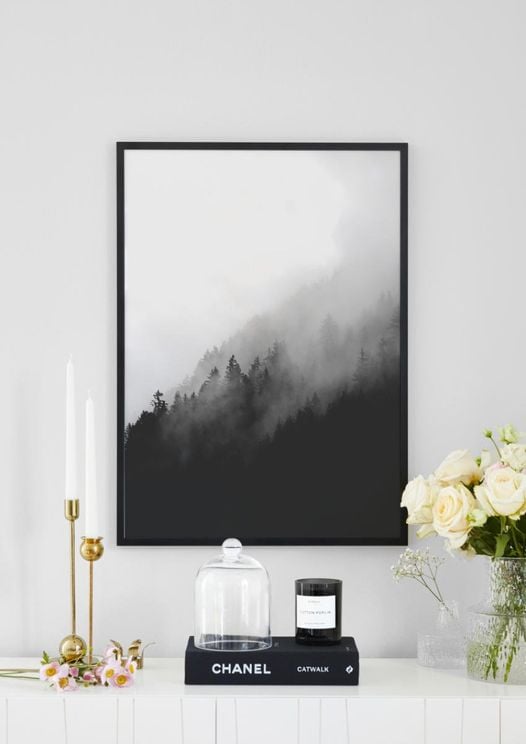Dark Foggy Forest