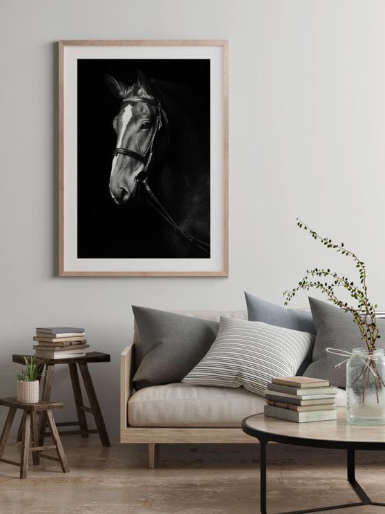 Dark Horse