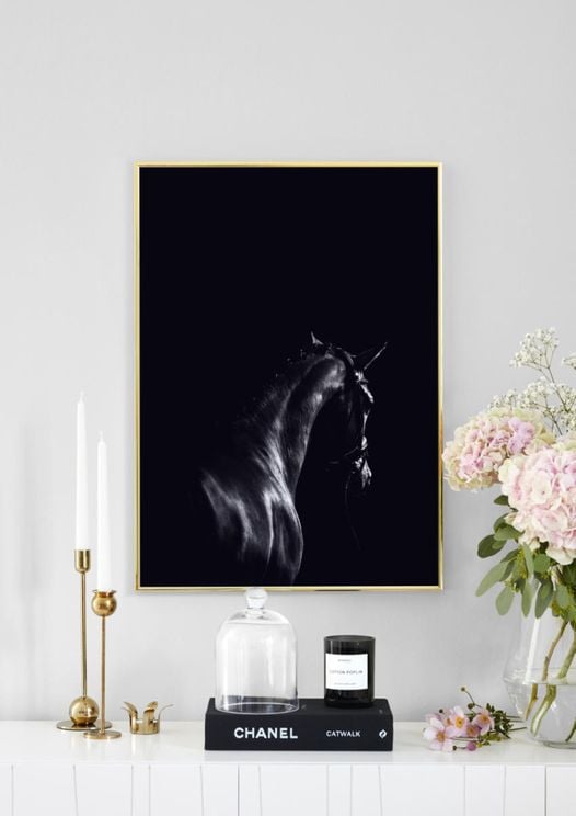 Dark Sport Horse