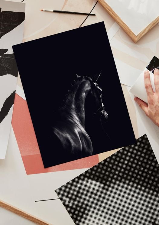 Dark Sport Horse