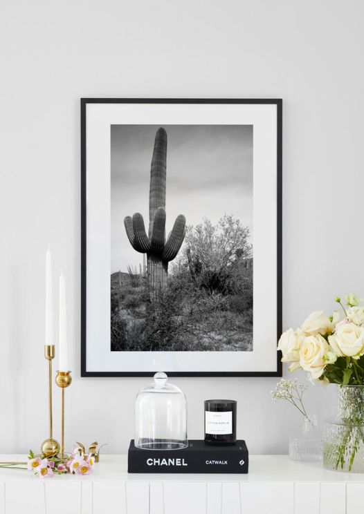 Poster Jardim De Cactus Caquetado Em Pote