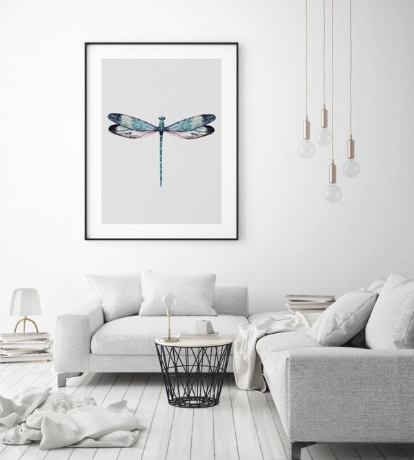 Dragonfly Illustration