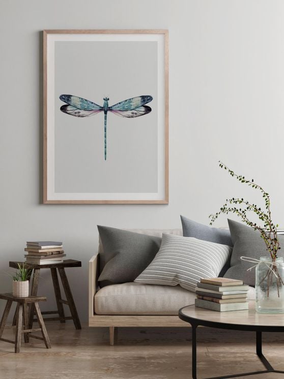Dragonfly Illustration