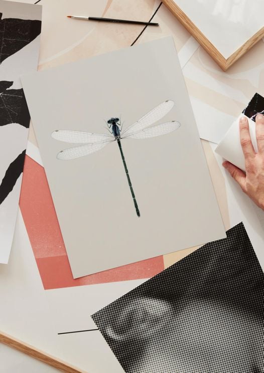 Dragonfly