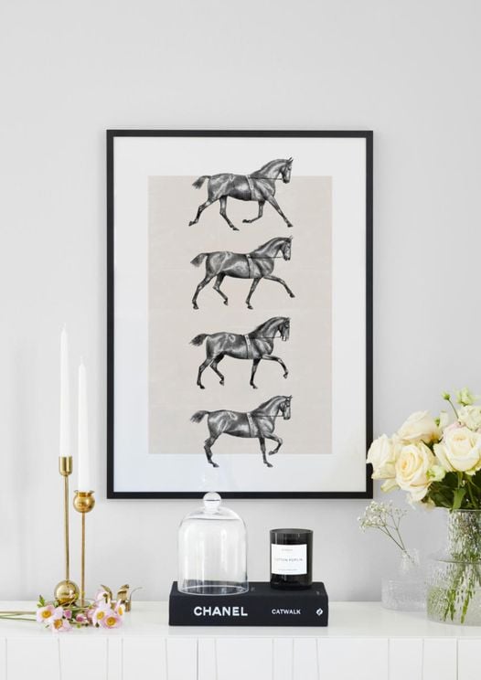 Dressage