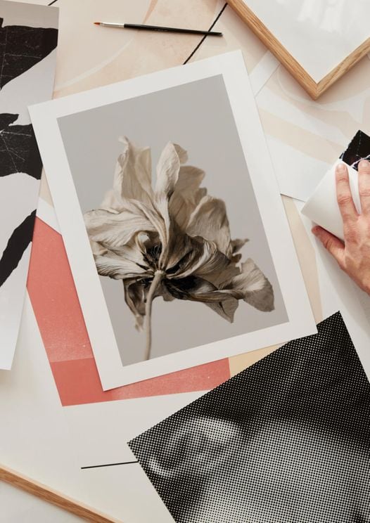 Dried Beige Flower 1