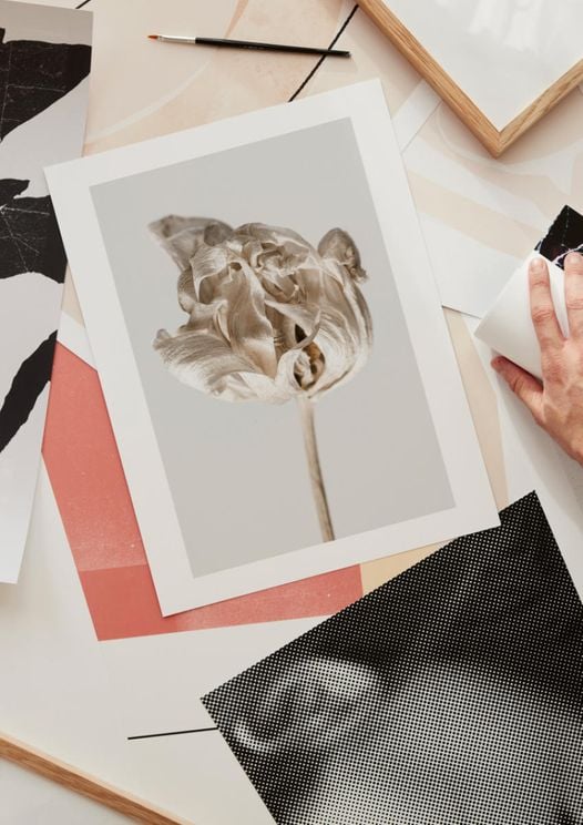 Dried Beige Flower 2