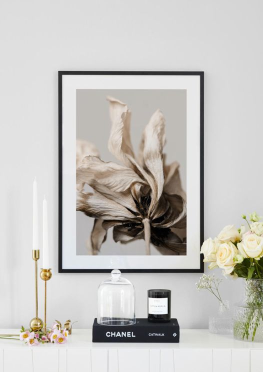 Dried Beige Flower 3