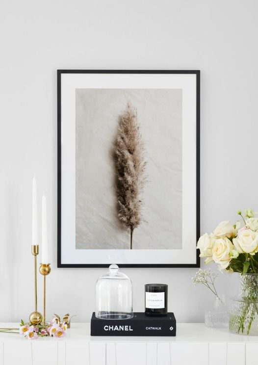Dried Wild Grass