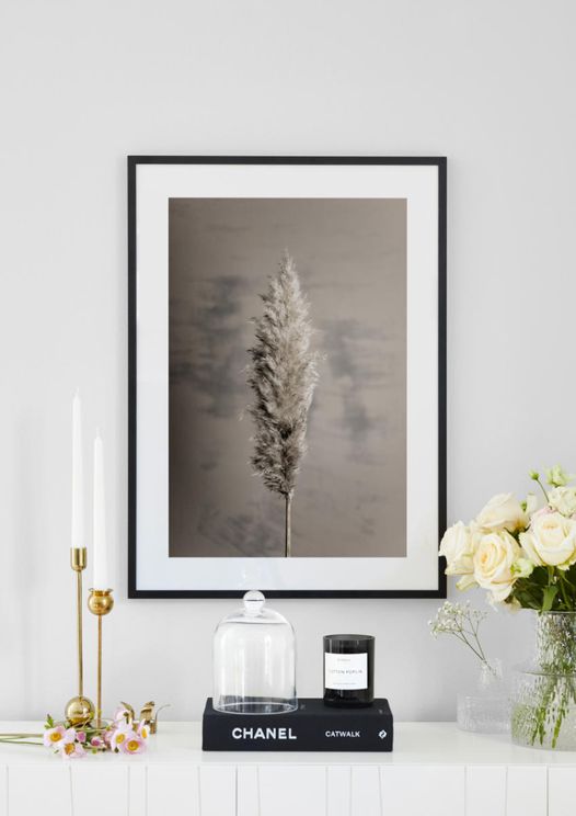 Dry Pampas Grass