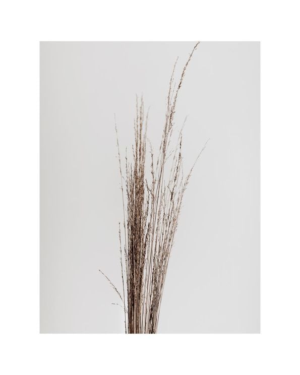 Dry Straws