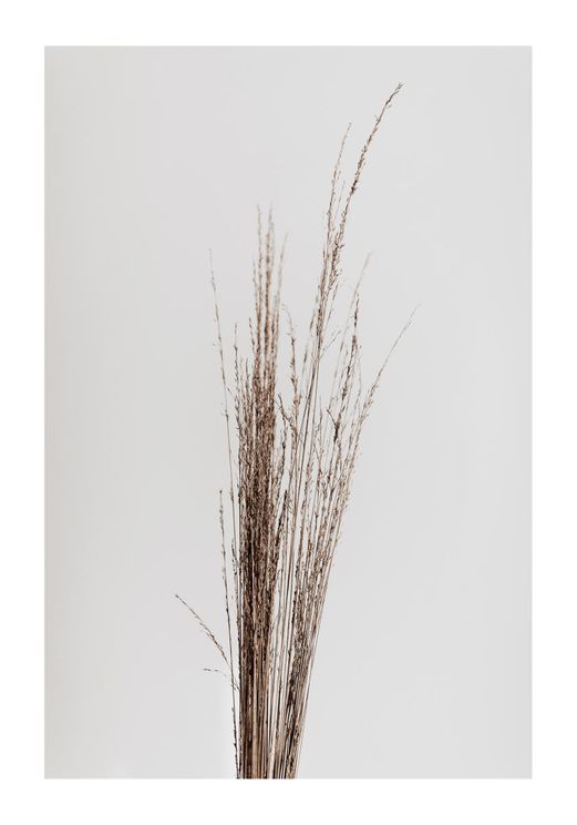 Dry Straws