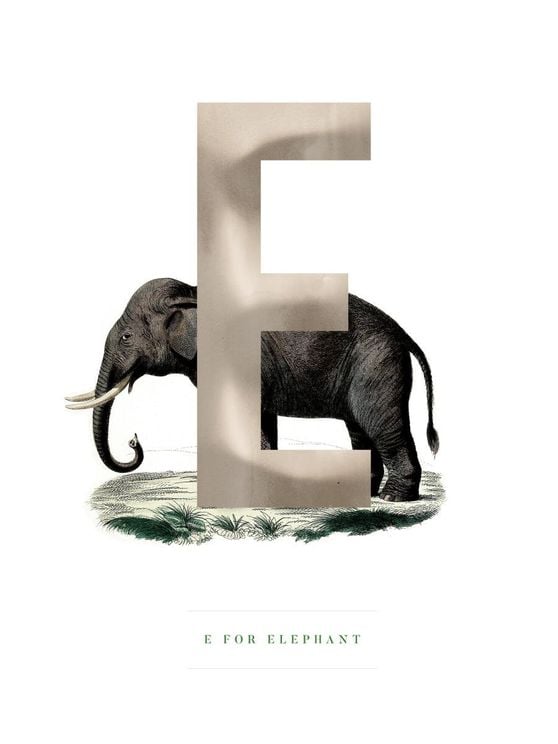 E For Elephant