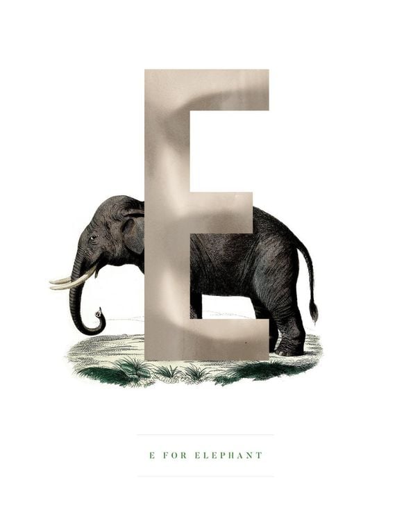 E For Elephant