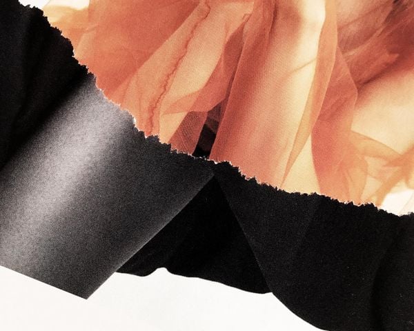 Elle 6
