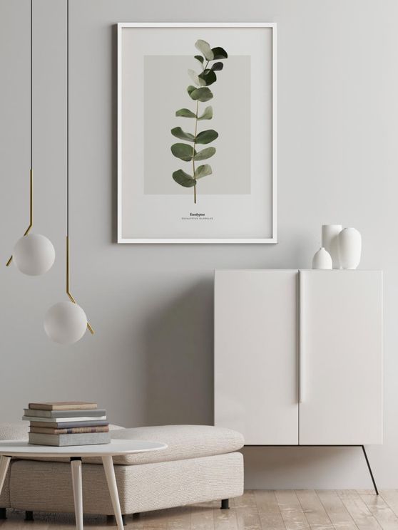 Eucalyptus