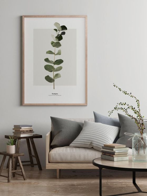 Eucalyptus