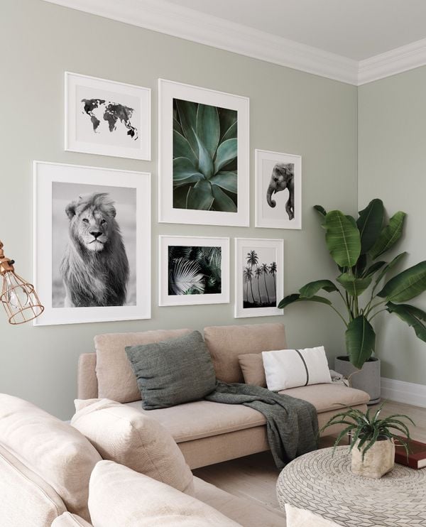 Big Palm Leaves