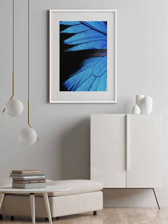 Feather Abstract