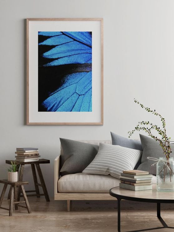 Feather Abstract