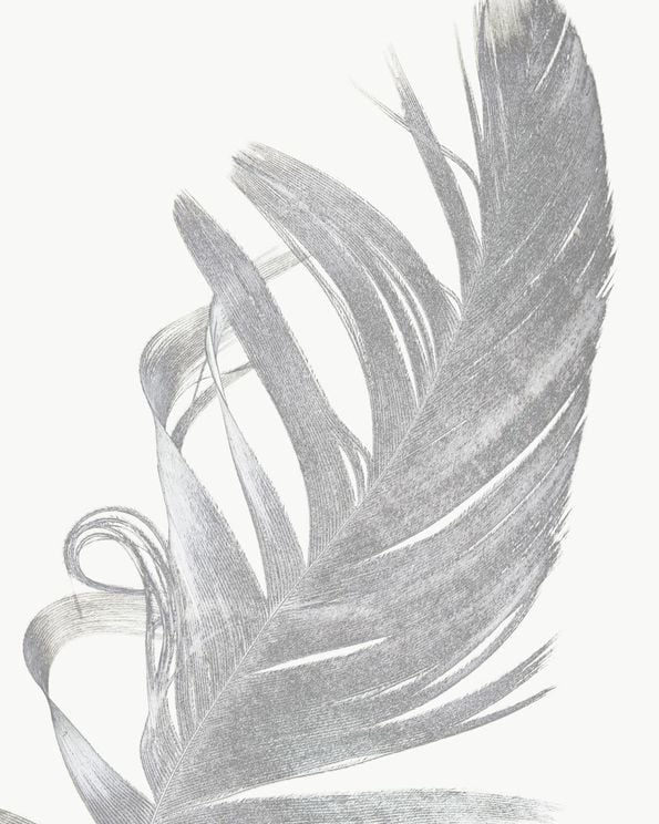 Feather Contours