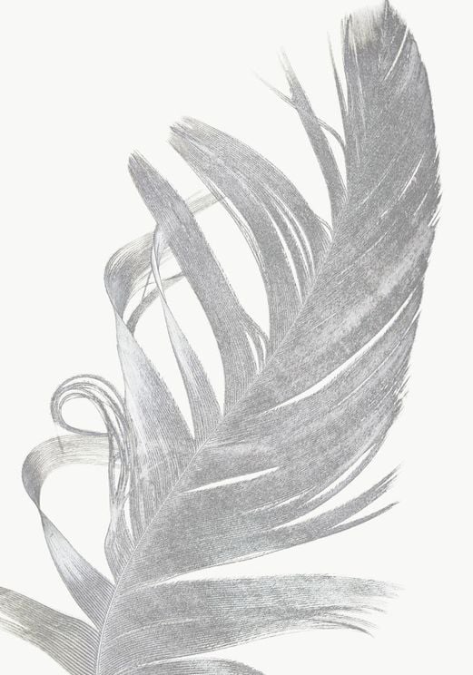 Feather Contours