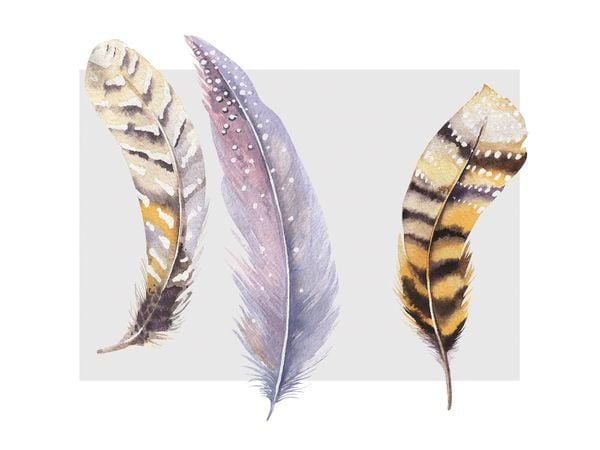 Feather Tryptic
