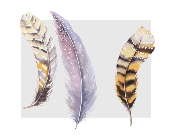 Feather Tryptic