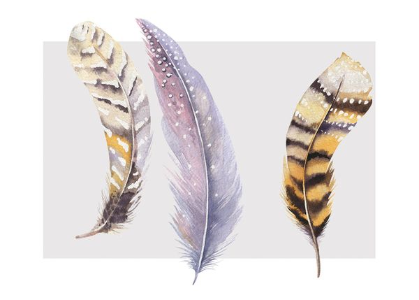 Feather Tryptic