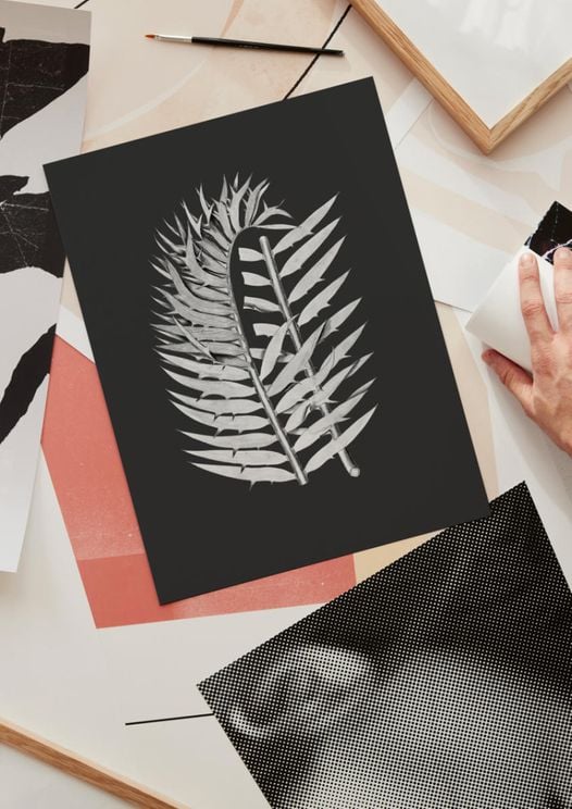 Fern Contrast