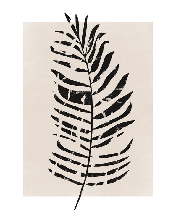 Fern Screen
