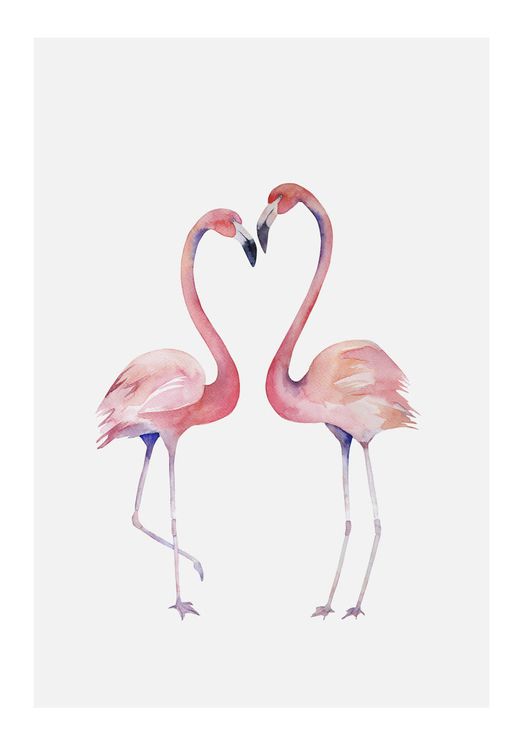 Flamingo Couple 2