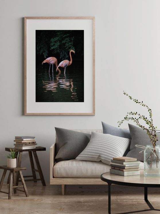 Flamingo Couple