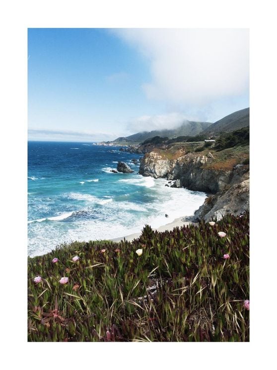 Flora Big Sur